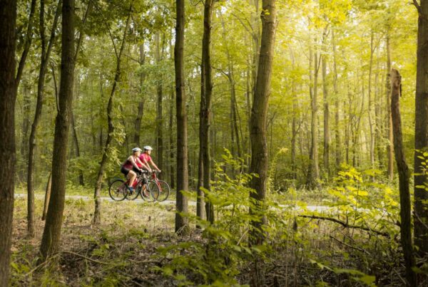 Litovelské Pomoraví a cyklista