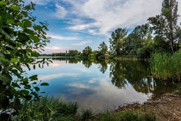 Chomoutovské jezero